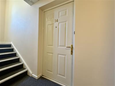 Picture 7
